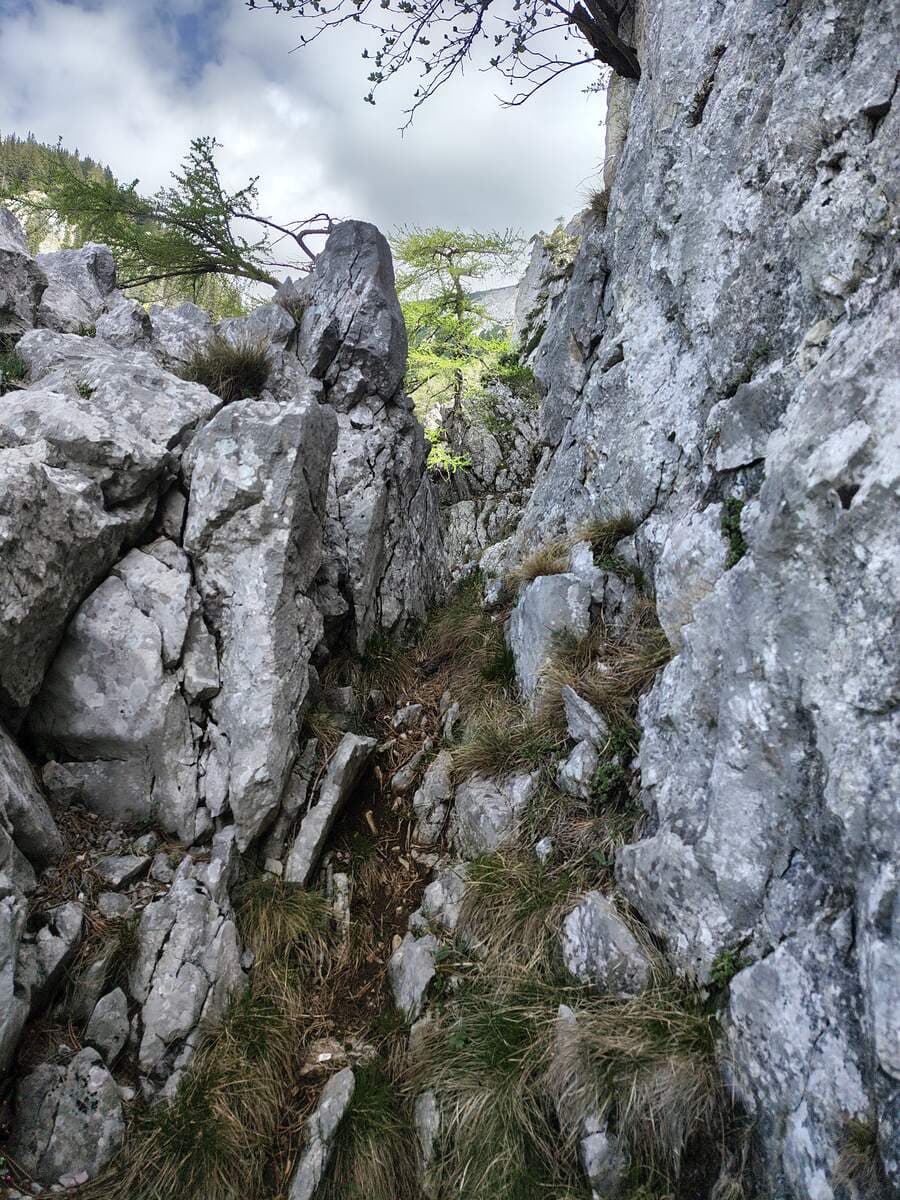 Verlauf