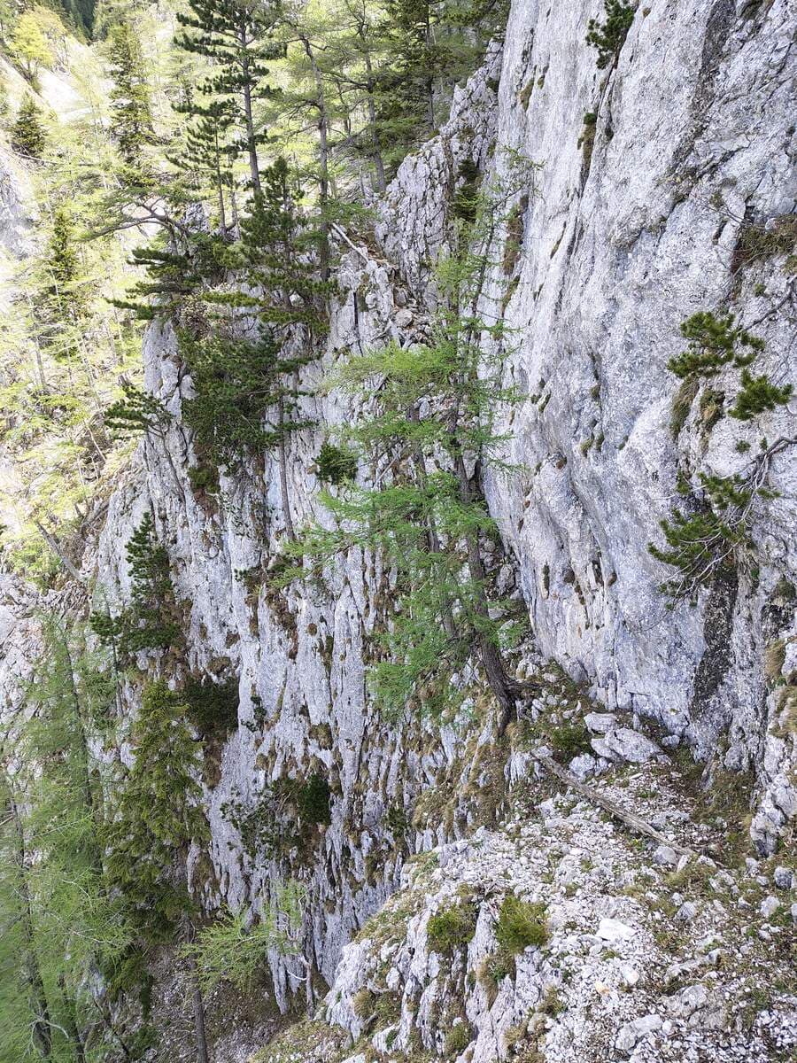 Band, bisschen andere Perspektive