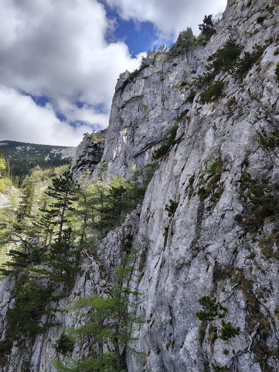 Blick nach oben beim Band
