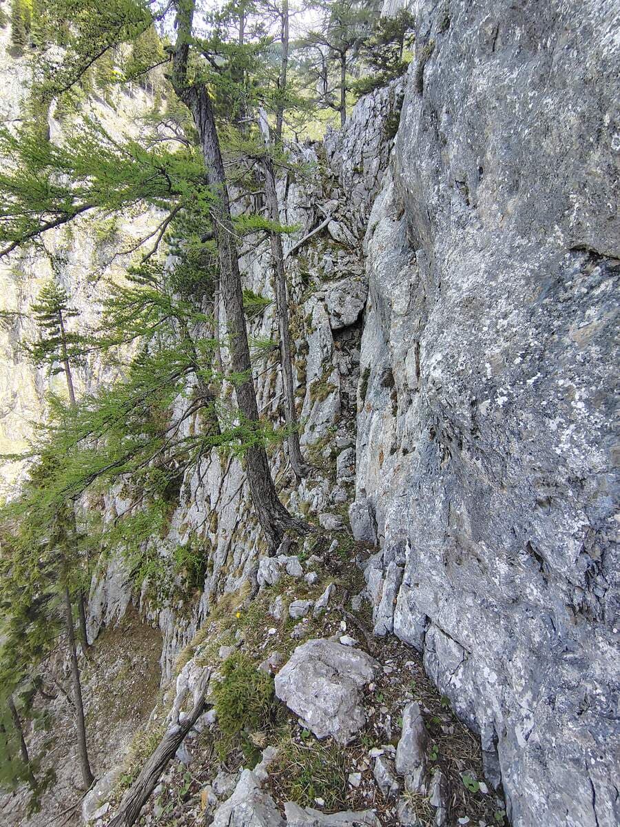 Auf dem Band