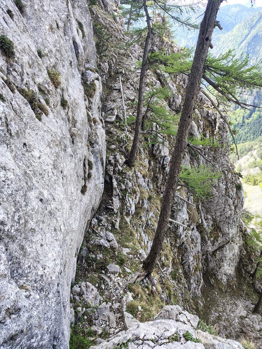 Rückblick