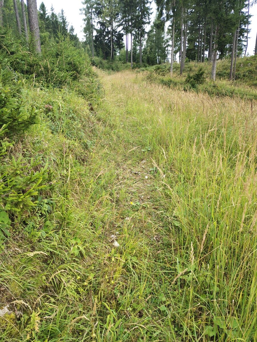 Oberhalb gut ausgetretener Weg