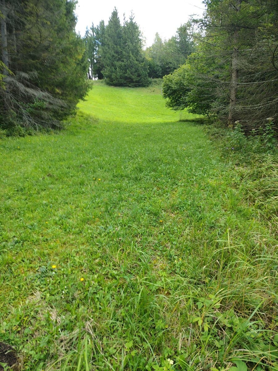 Die zweite Wiese, gleich rechts