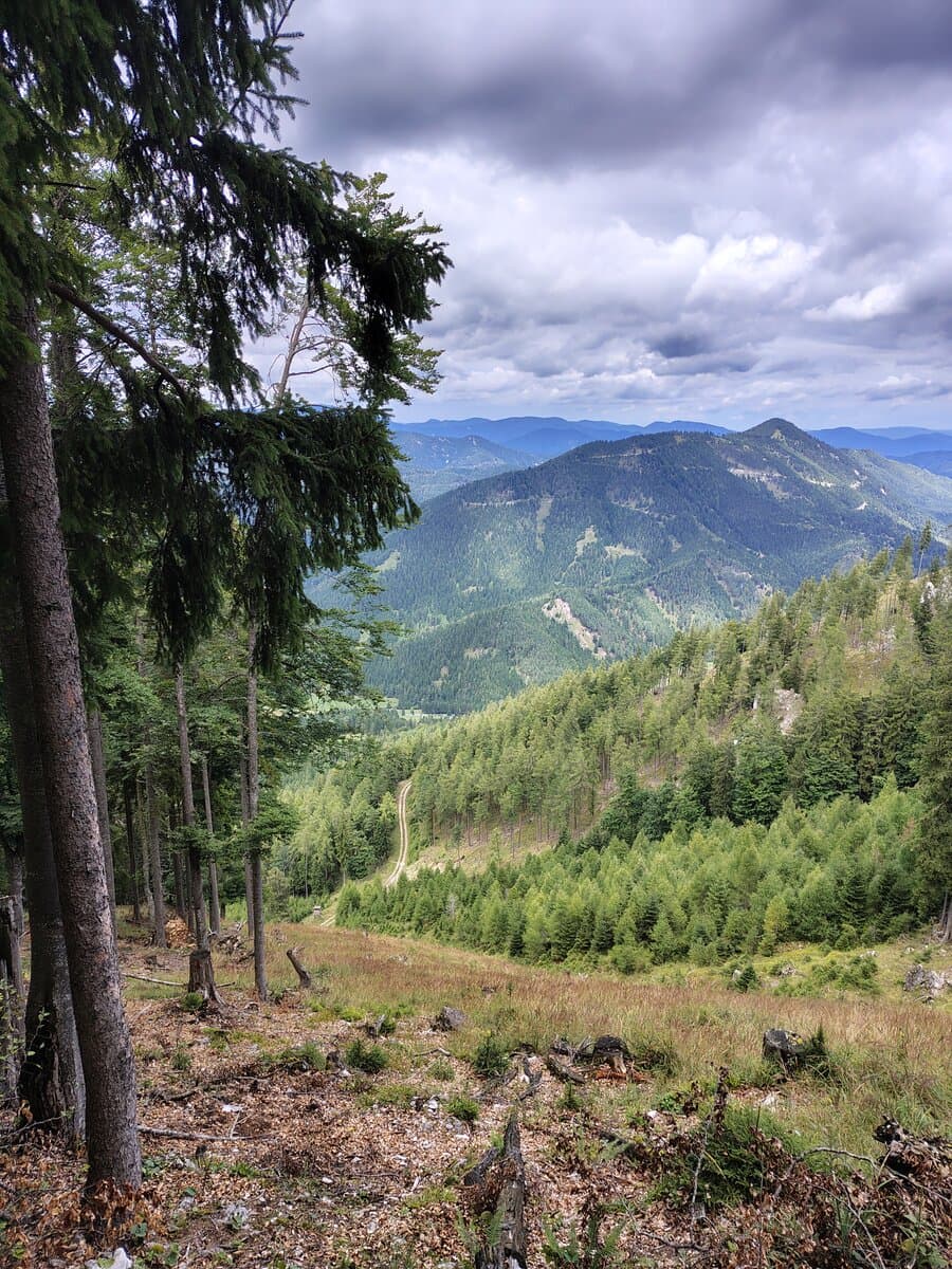 Rückblick auf die letzte Forstraße