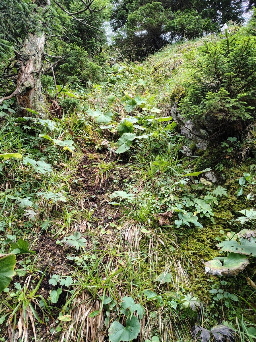 Die letzten Höhenmeter