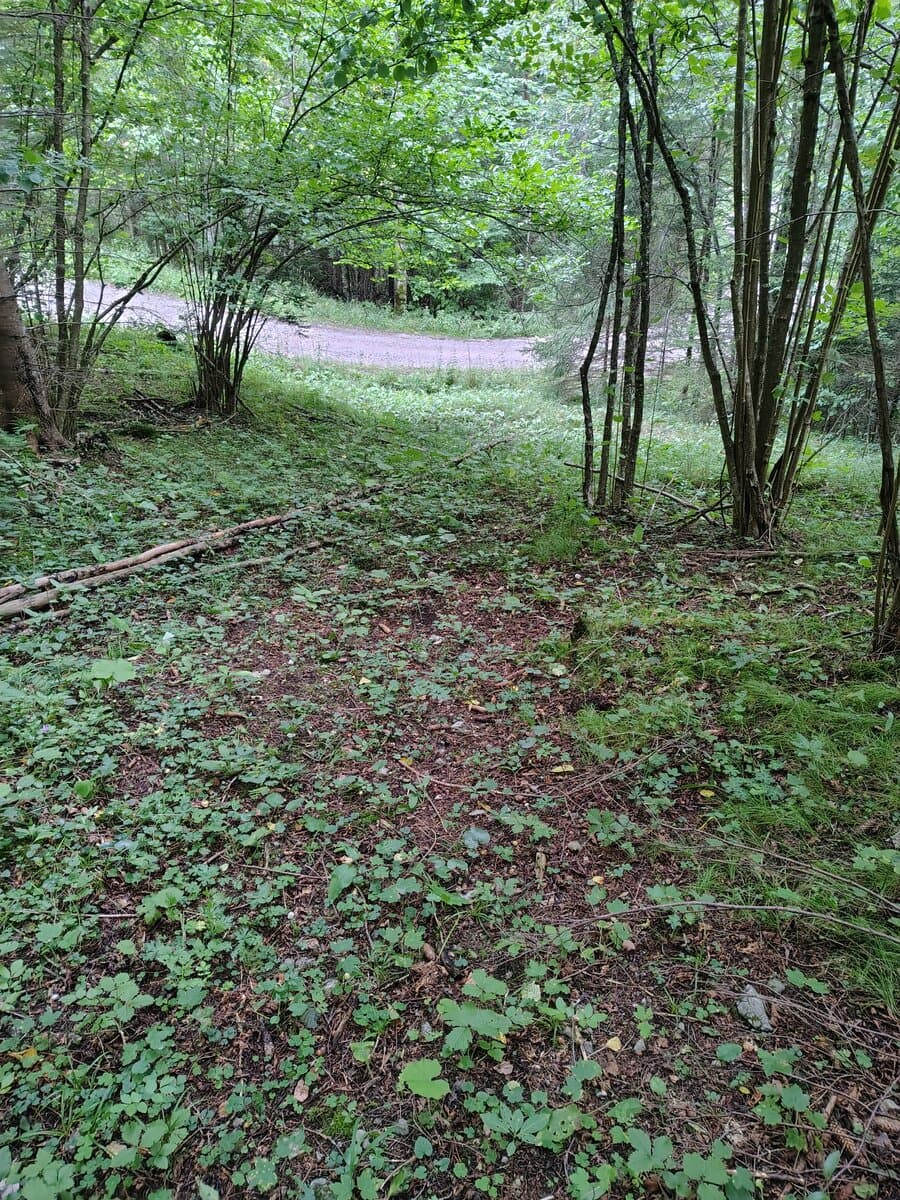 Rückblick - Einstieg