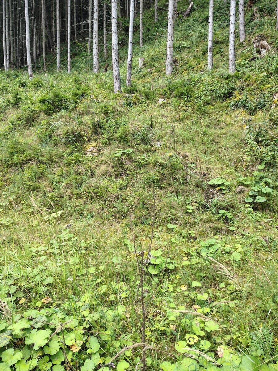 Einstieg befindet sich rechts