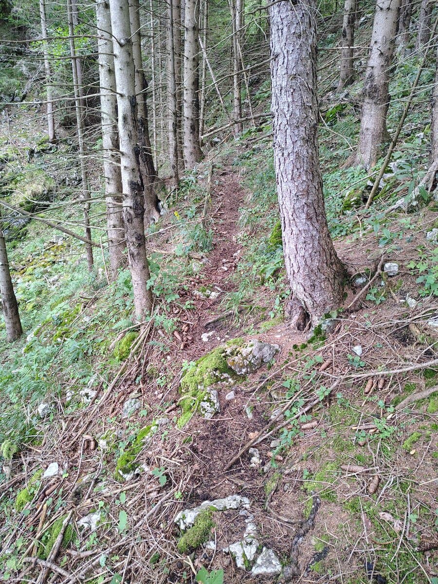 Deutliche Steigspuren