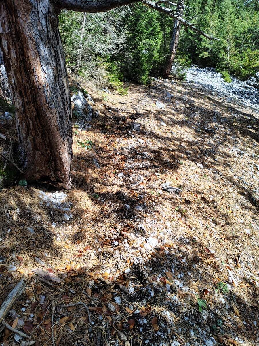 Verlauf (hinten bereits das Geröllfeld)