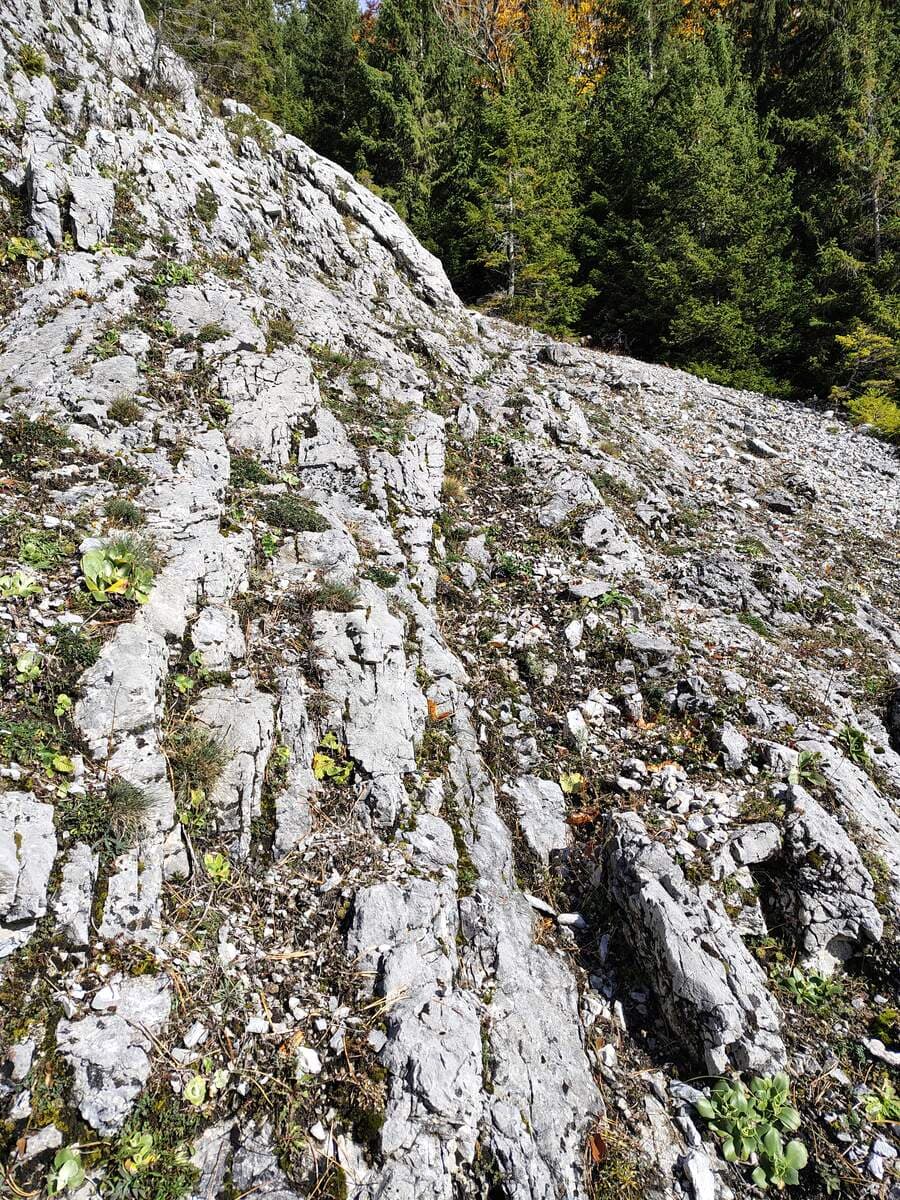 Links Schrofen, rechts Geröllfeld