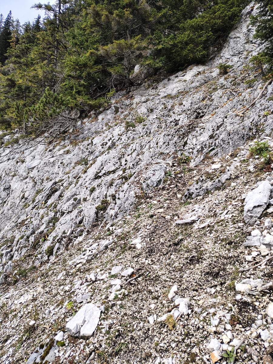 Schräg links gehts zur Bockgrube