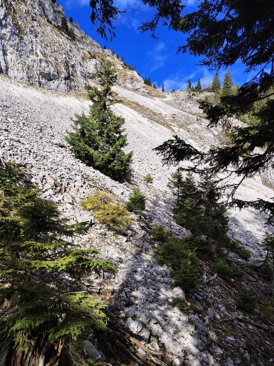 Geröllfeld, oben der Grafensteig