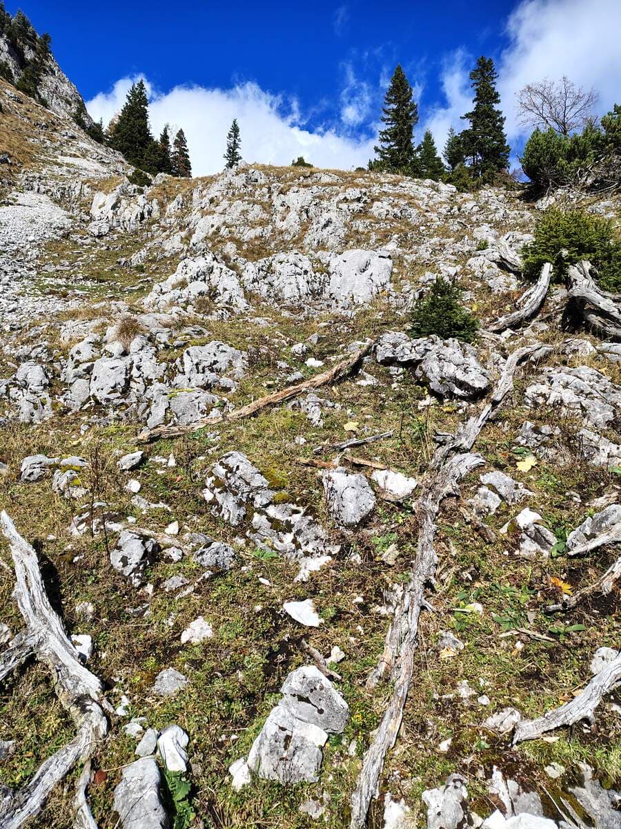Vor dem Ausstieg auf den Grafensteig