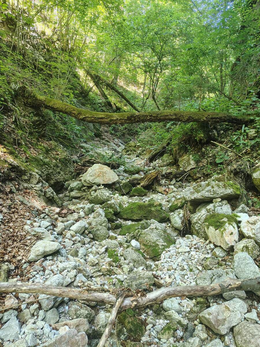 Verlauf (größere Felsen)