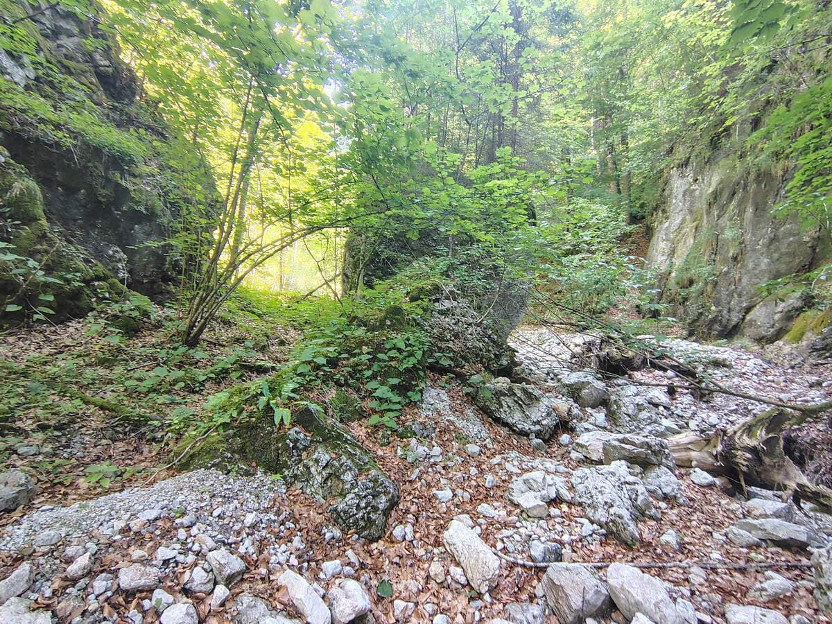 Abzweigung