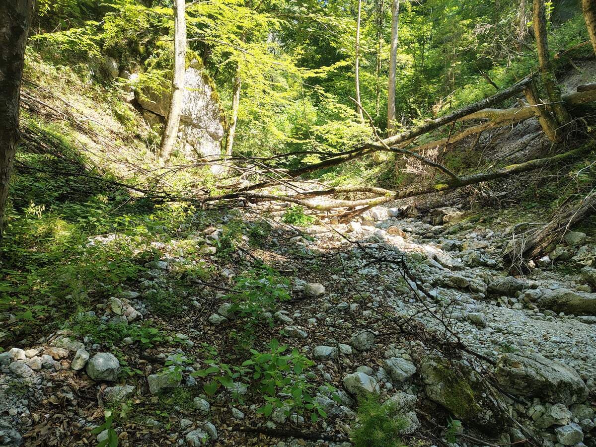 Verlauf
