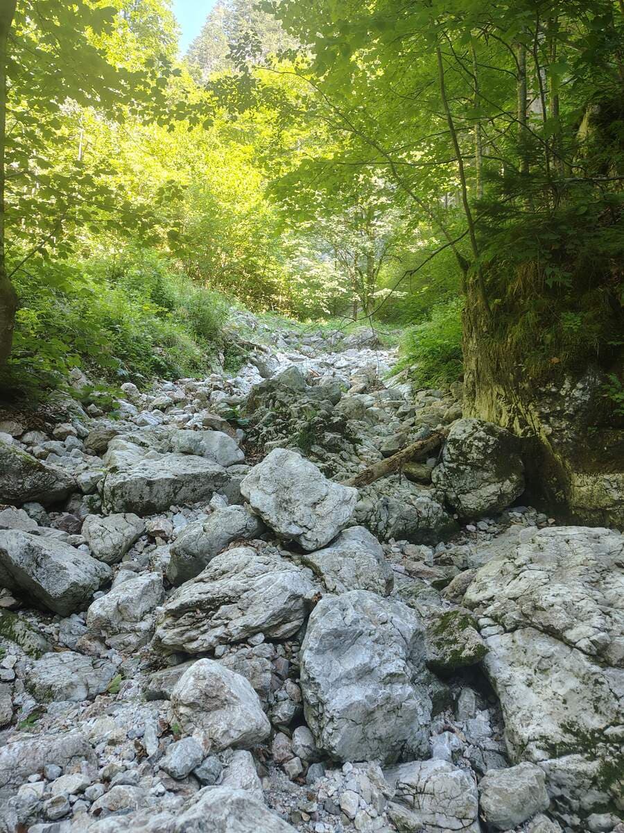 Verlauf