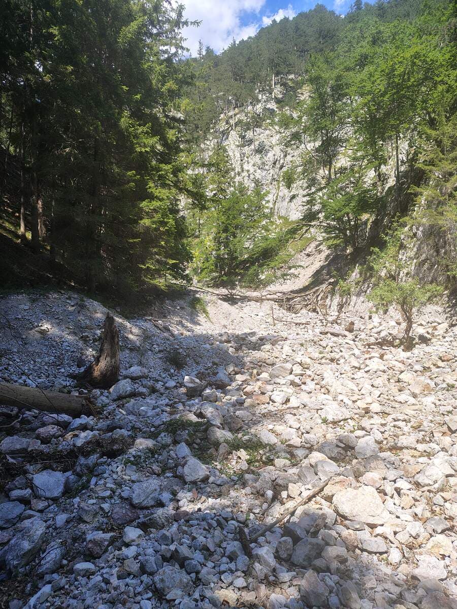 Verlauf