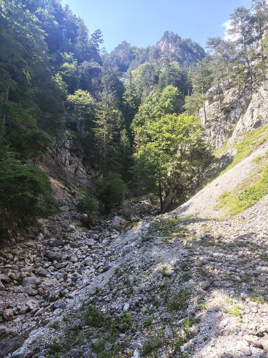 Verlauf