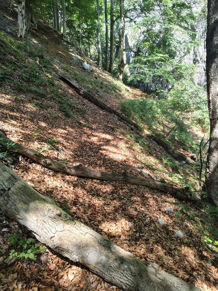 Verlauf