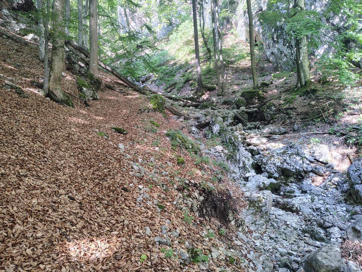 Verlauf