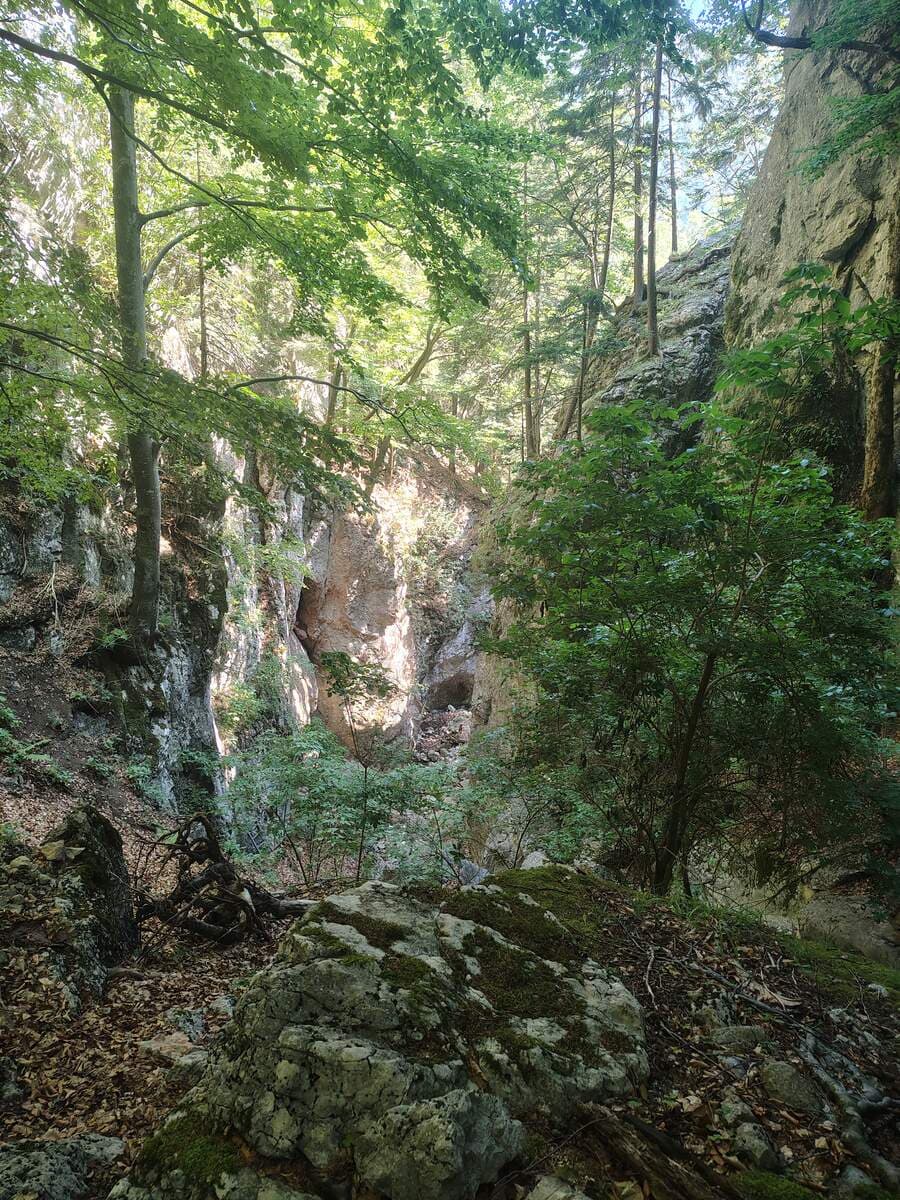 Rückblick