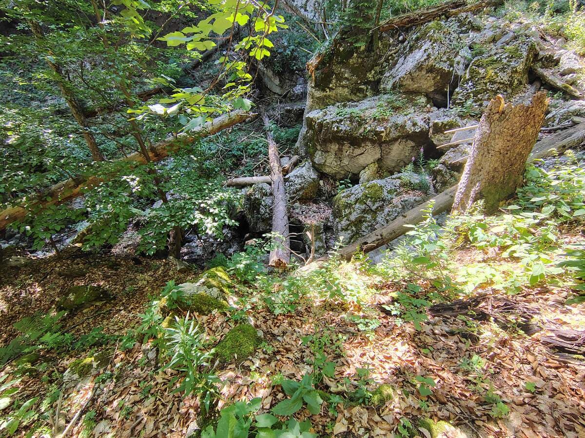 Verlauf, mit Blick zum Bachbett