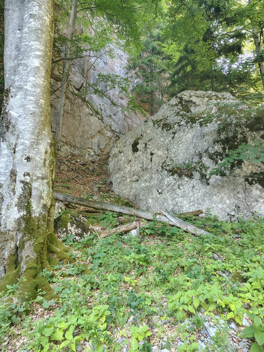 Hinter dem Felsen geht es weiter