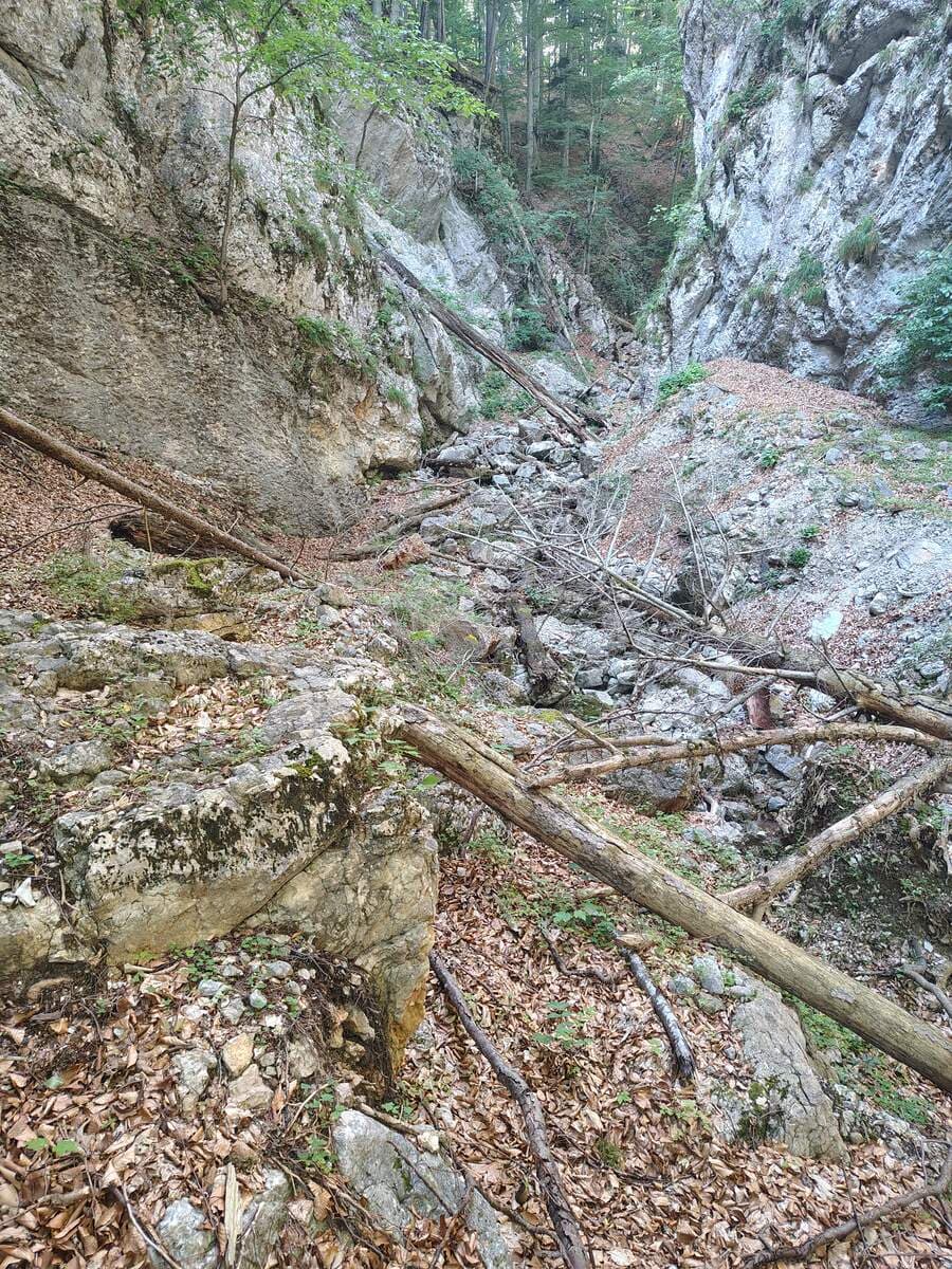 Verlauf