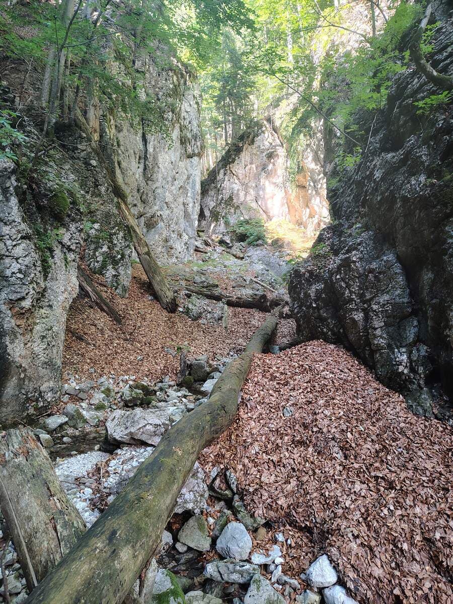 Verlauf