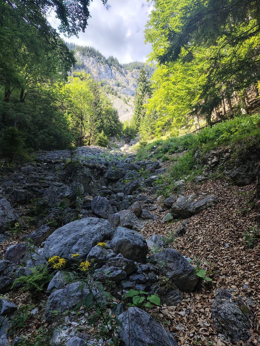Verlauf