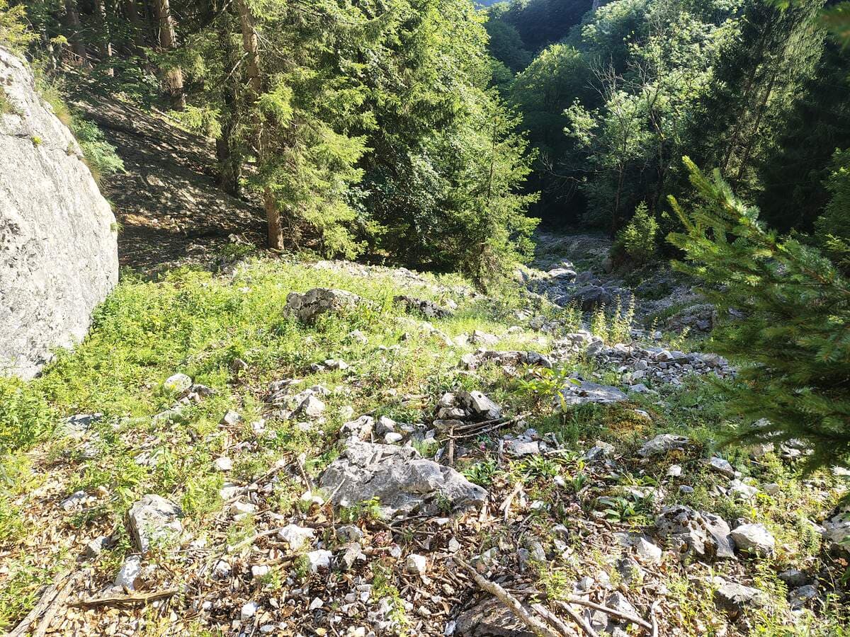 Rückblick