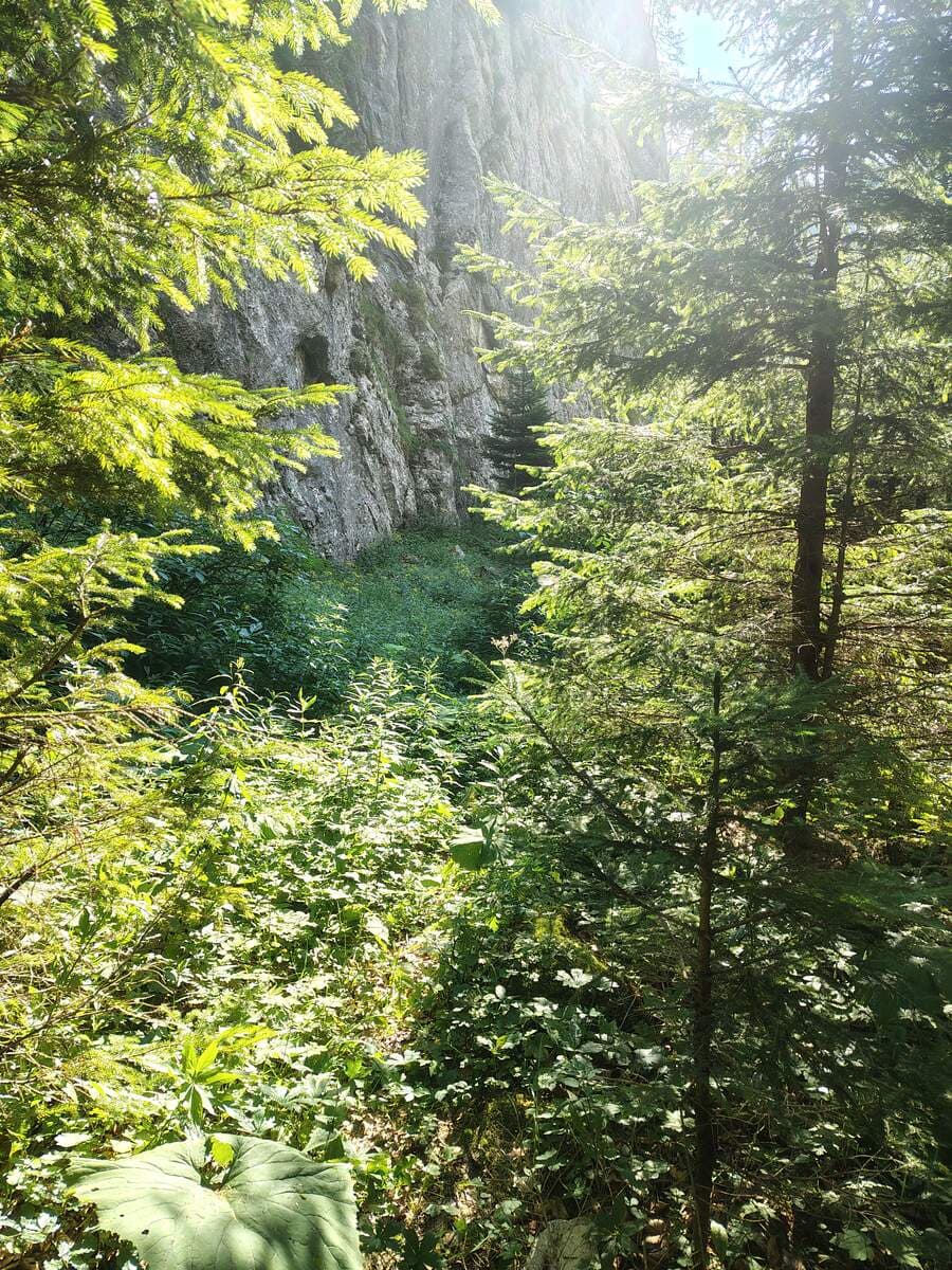 Rückblick