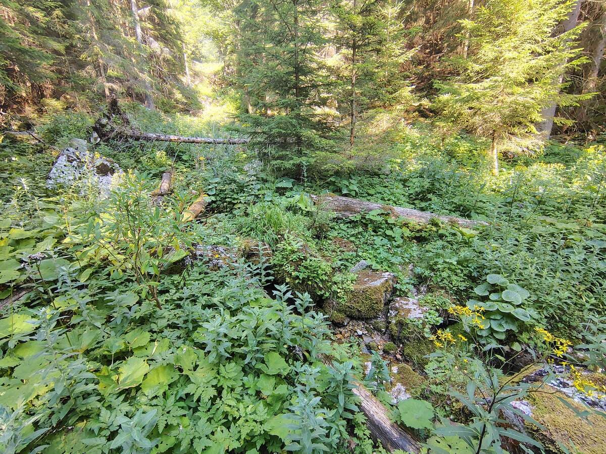 Verlauf, Krummbachüberquerung