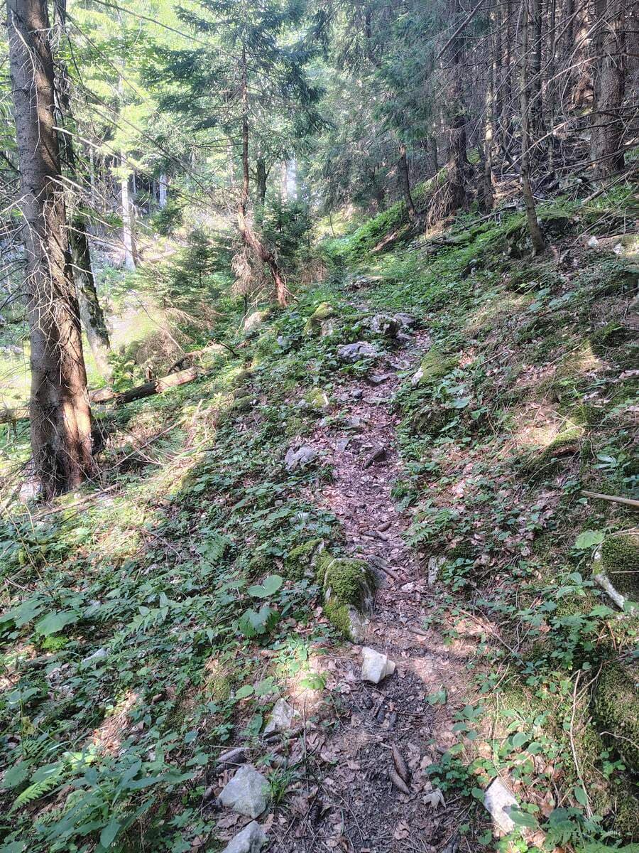 Verlauf
