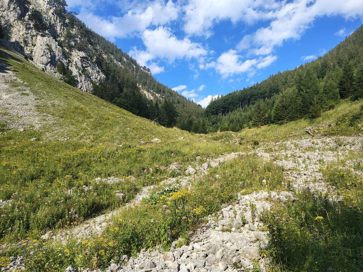 Verlauf