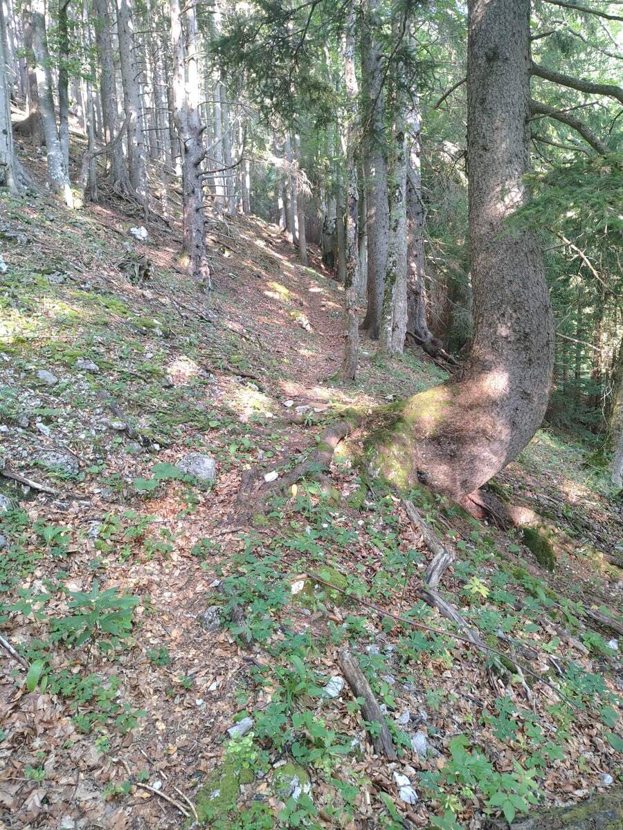 Verlauf