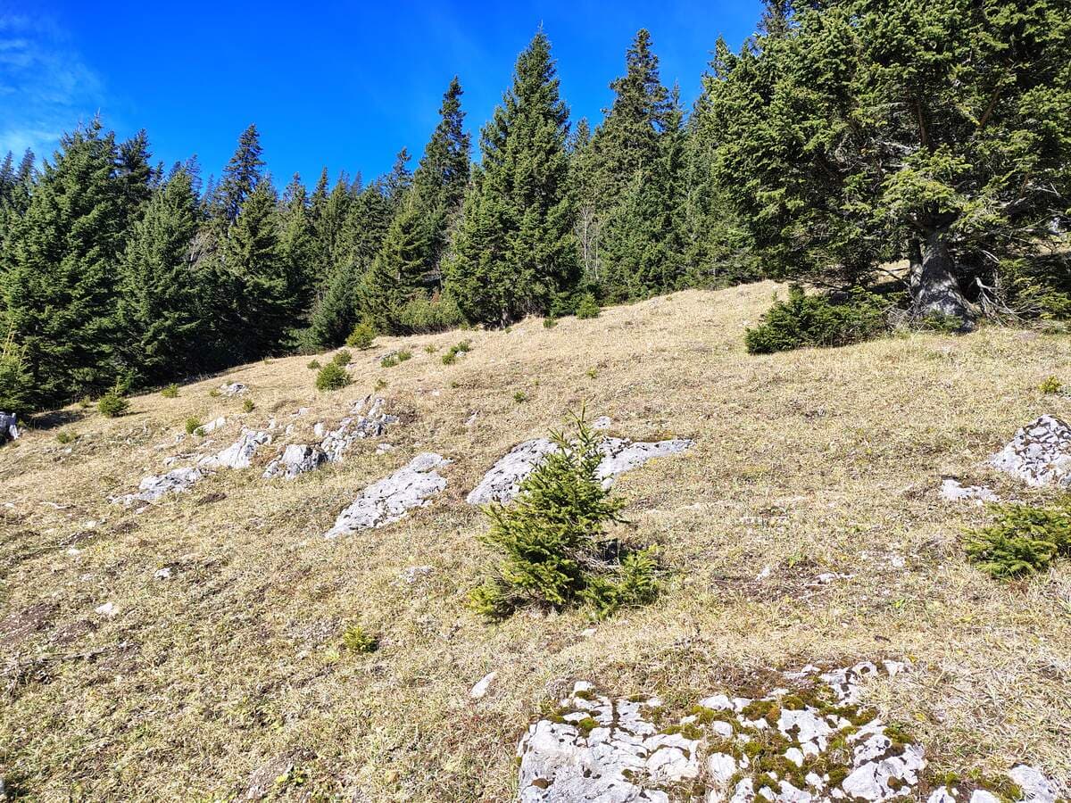 Etwas oberhalb der Mauerreste