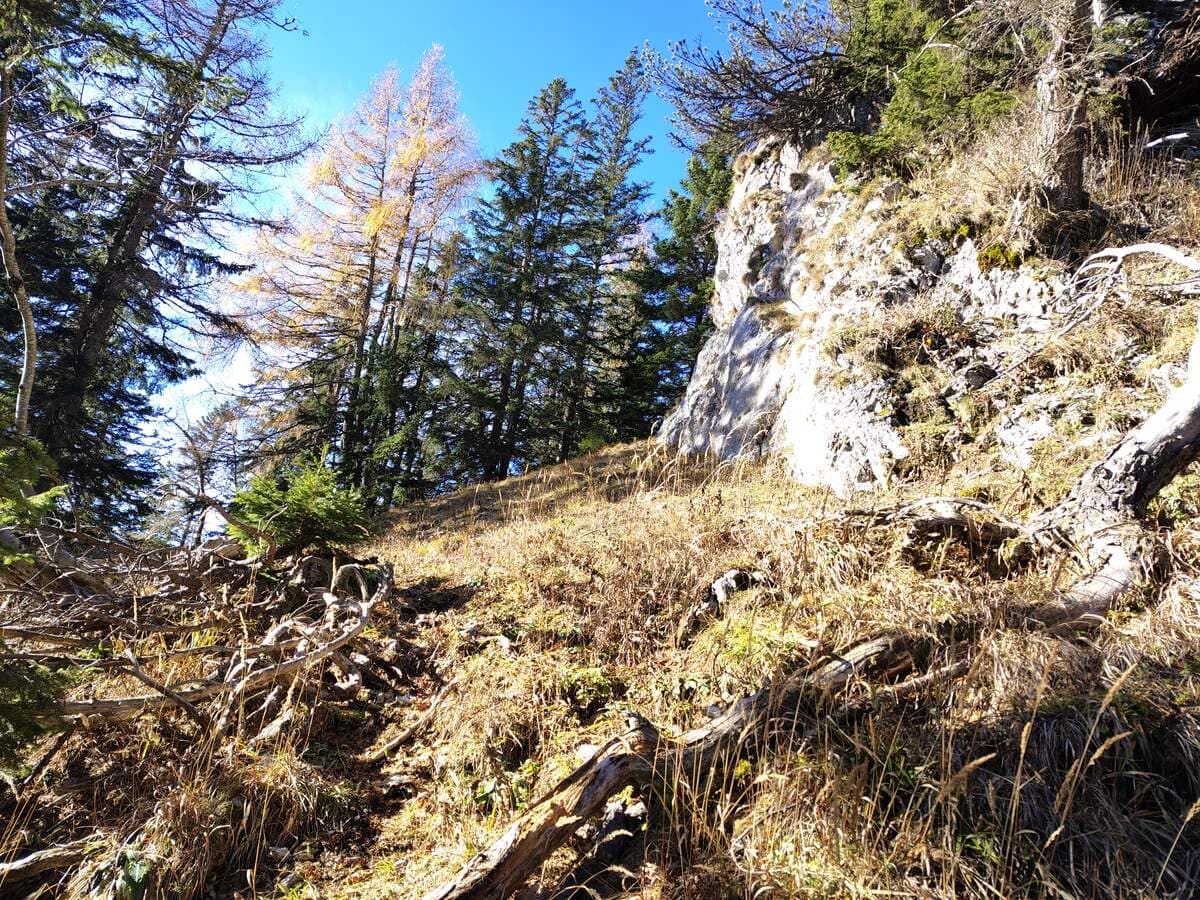 Rechts Felswand, ab hier deutlichere Spuren