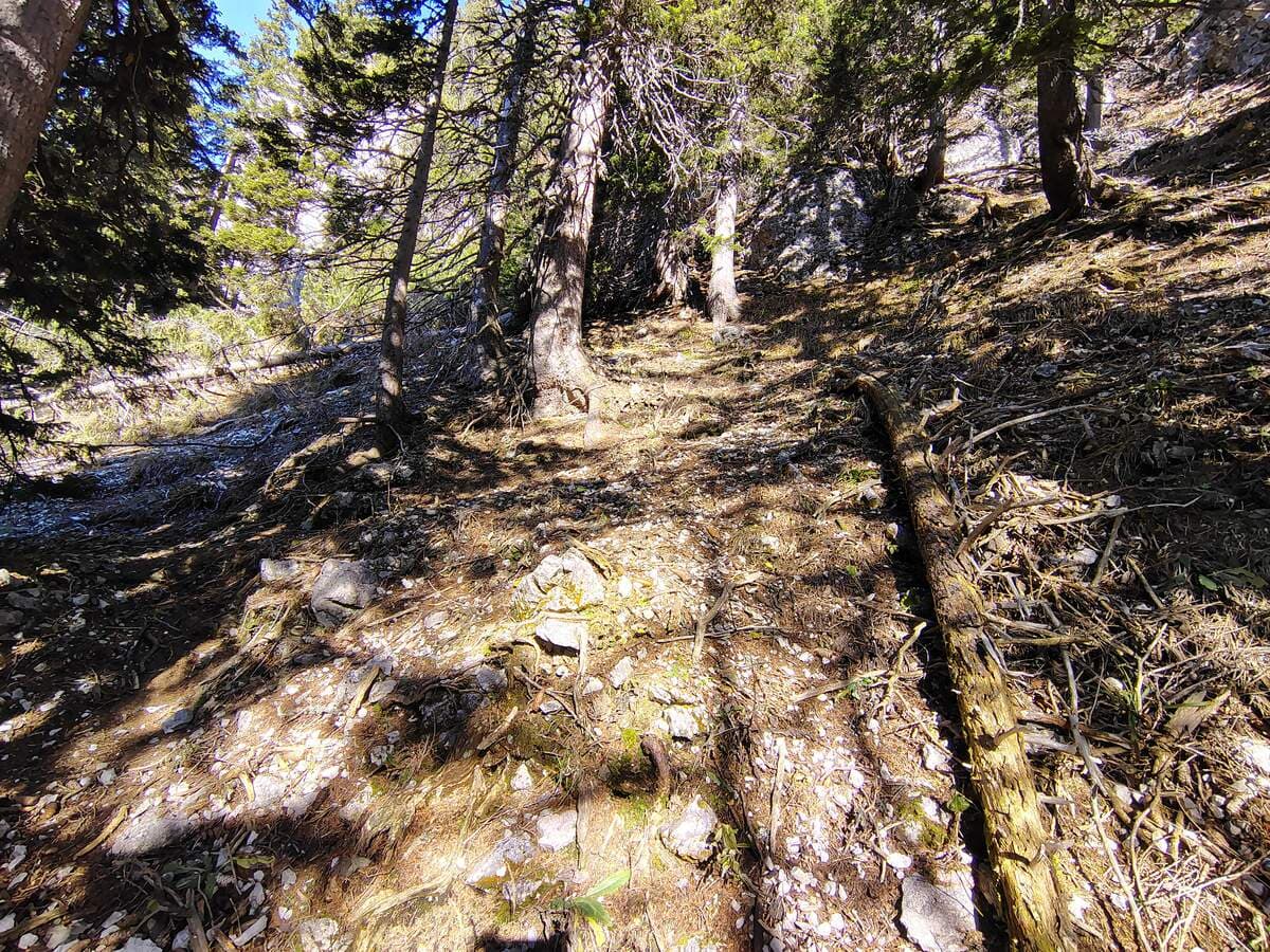 Kurz in zickzack hoch