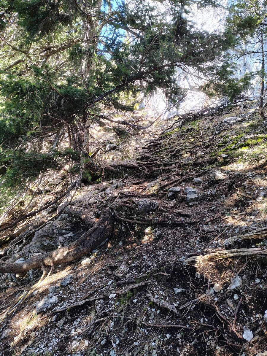 Rechts zur Felswand hoch