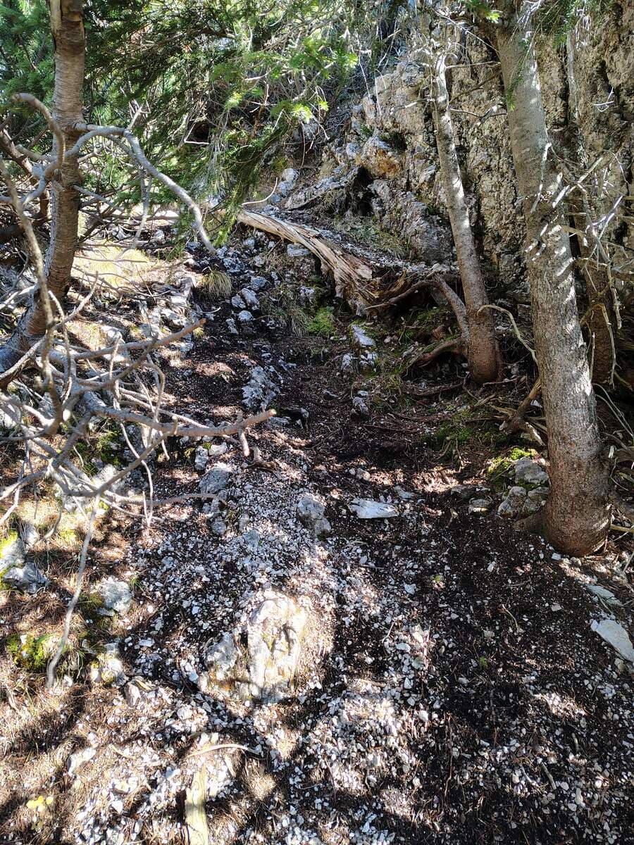 Verlauf bei den Latschen