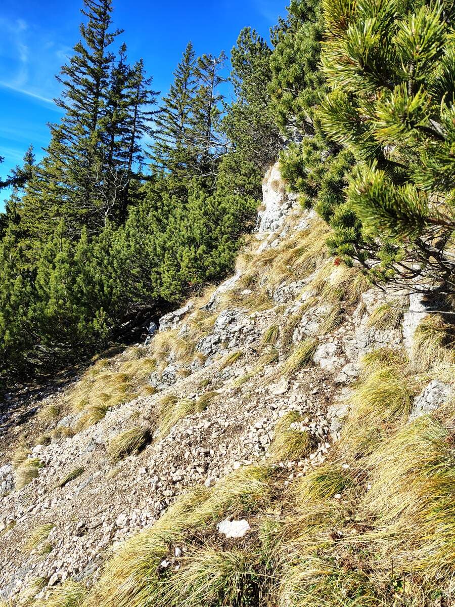 Vor dem Einstieg der Kletterstelle (rechts)