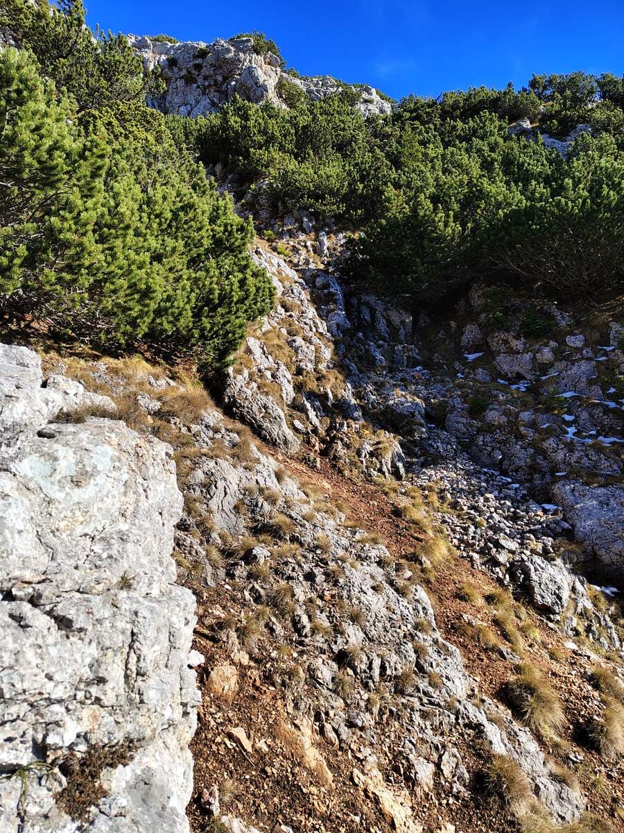 Verlauf (rechts dann die nächste Versicherung)
