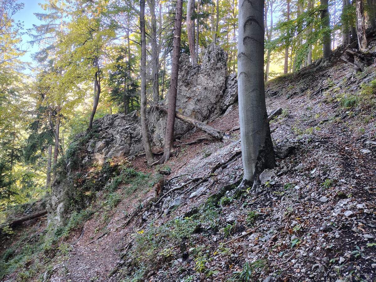 Verlauf, Felsgebilde rechts umgehen