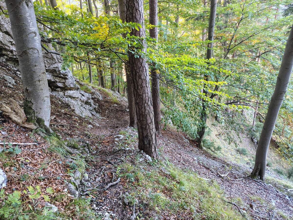 Rückblick vom Vorsprung