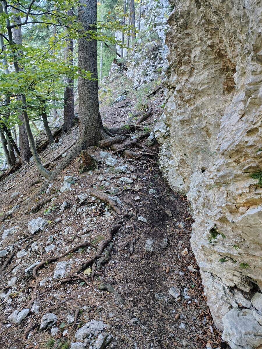 Weiterweg, rechts eine Felswand