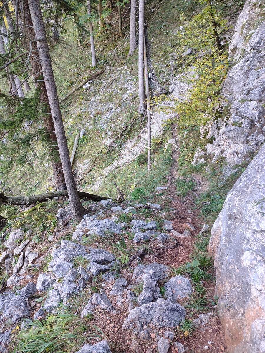 Hinter der Versicherung