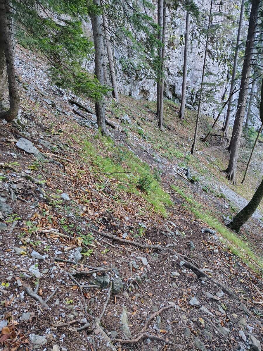 Rückblick (vorne bei der Felswand ist nur Wildwechsel)