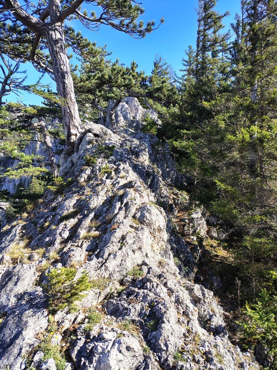 Auf dem Lärchkogelgrat